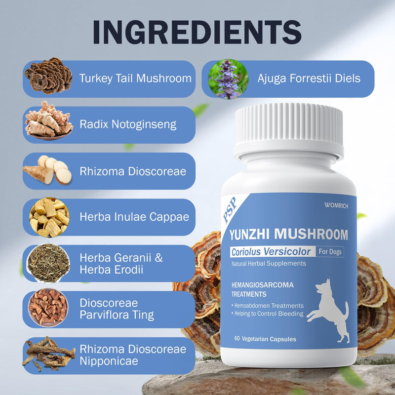 Quick Stop Bleeding for Dogs, Yunnan Sanqi Capsules for Dogs for Hemangiosarcoma, Hemoabdomen, Severe Bruising, Hemangiosarcoma & Hemoabdomen - Rich in PSP & Beta Glucans, Turkey Tail 60 Capsules