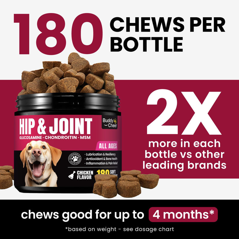Glucosamine for Dogs Hip and Joint Supplement Chews & Probiotics for Dogs - Dog Probiotics with 5 Enzymes & 4 Prebiotics