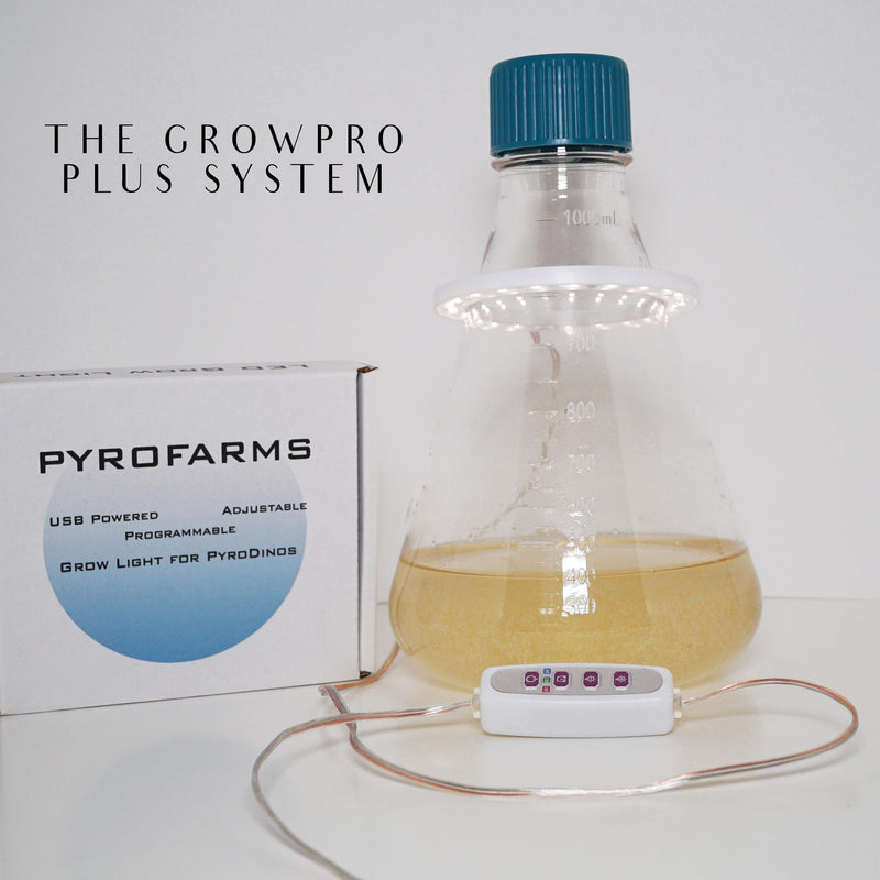 GrowPro Plus Flask - 1000ml Polycarbonate Grow Flask