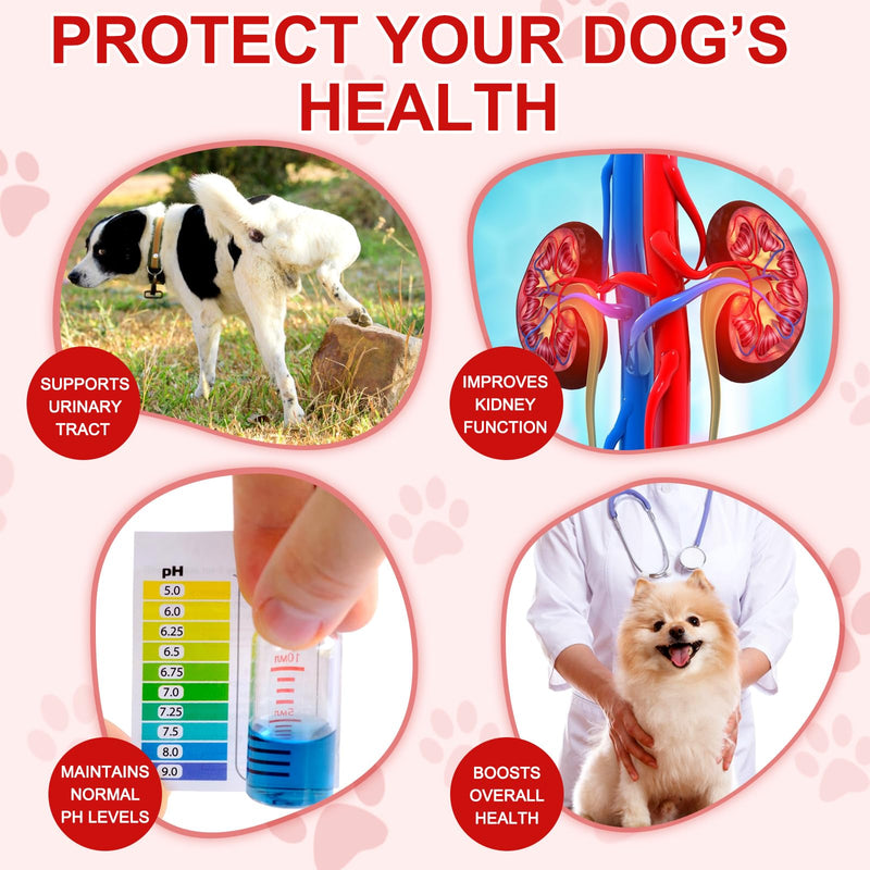 Cranberry for Dogs, 180P Cranberry Urinary Tablets for Dogs - Supports Bladder Infection, Urinary Tract, Bladder Stone & Dog UTI, Pet Supplement Treats for Dogs, Chicken Flavor - 180P Chewable Tablets 5.1OZ - PawsPlanet Australia
