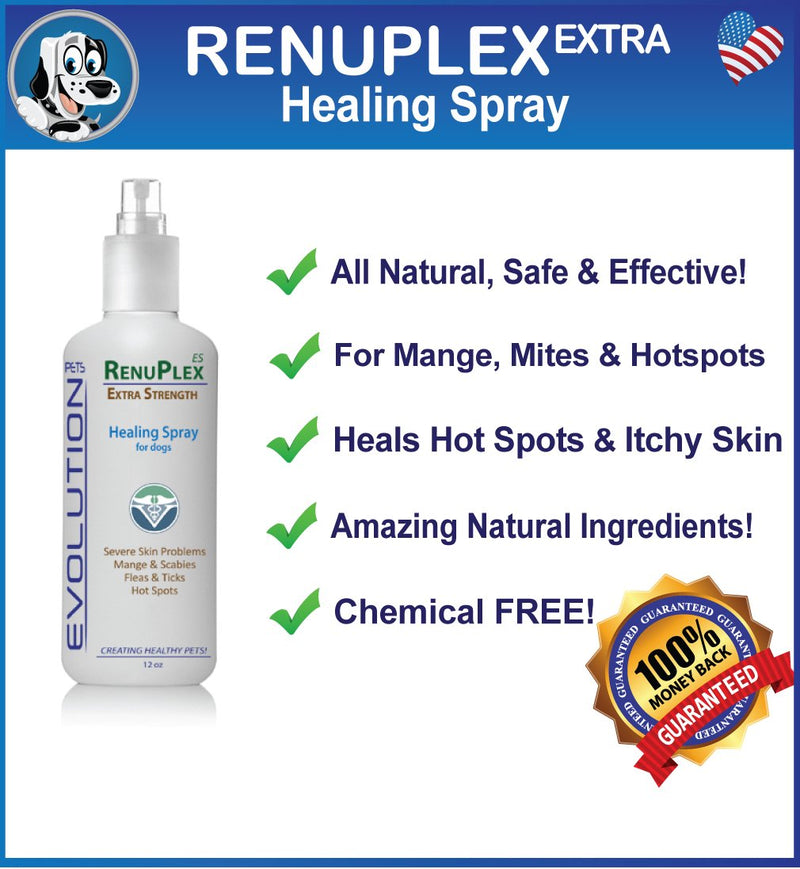 [Australia] - RenuPlex Extra Strength Dog Healing Spray for Dog Hot Spots, Mange, Dog Skin Problems Antifungal Dog Hot Spot Spray Also Eliminates Mange, Mites. All Natural. Unconditional Guarantee. Made in USA 