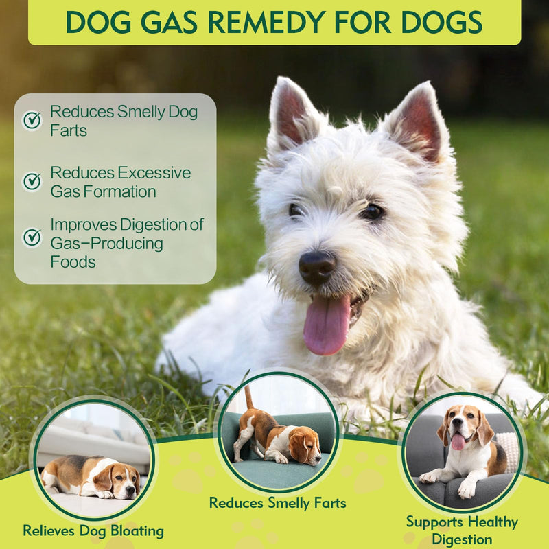 Dog Gas Relief, Relief Smelly Farts with 4B CFU Pediococcus Acidilactici Probiotics, Digestive Enzymes, Dog Fart Remedy to Help Gas & Bloating, Dogs Farts Relief, Dogs Gut Health Digestive Support