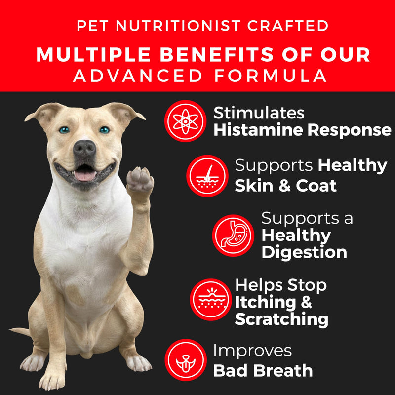 Pet Chef Dog Allergy Chews 140 Soft Chews with Salmon Oil, Omega 3 & Probiotics Natural Supplement for Itch Relief, Immune Support & Healthy Skin & Coat (Bacon Flavor) Vegan Smokey Bacon
