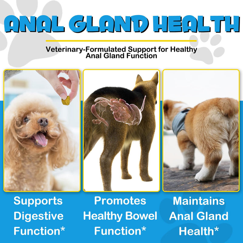 Anal Gland Support Soft Chews for Dog, 150PCs Dog Anal Gland Treats w/Pumpkin, Digestive Enzyme & Probiotics Support Healthy Bowel Function - Dog Health Supplies Fibre Supplements Chews - Beef Flavor - PawsPlanet Australia