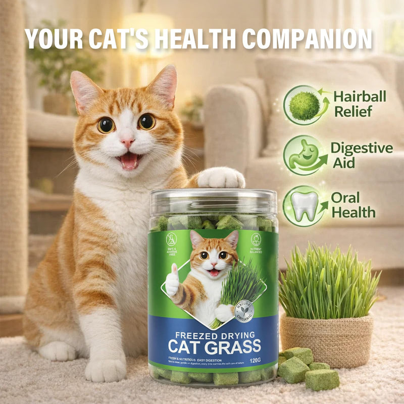 Freeze Dried Cat Grass Treats for Indoor Cats - Chicken & Wheatgrass Dice for Hairball Control & Dental Care, Grain Free High Protein Training Rewards, Digestive Support Cat Snacks (120g)