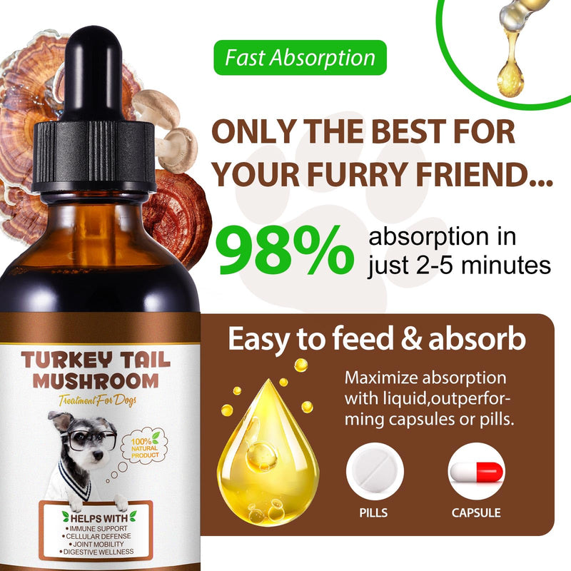 Turkey Tail Mushroom for Dogs, Dog Mushroom Supplement, Mushroom Drops for Dogs, Support Immune Health, Digestive & Joint Mobility, Wild Mushroom Supplement for Dog, Easy to Absorbed 2 fl oz
