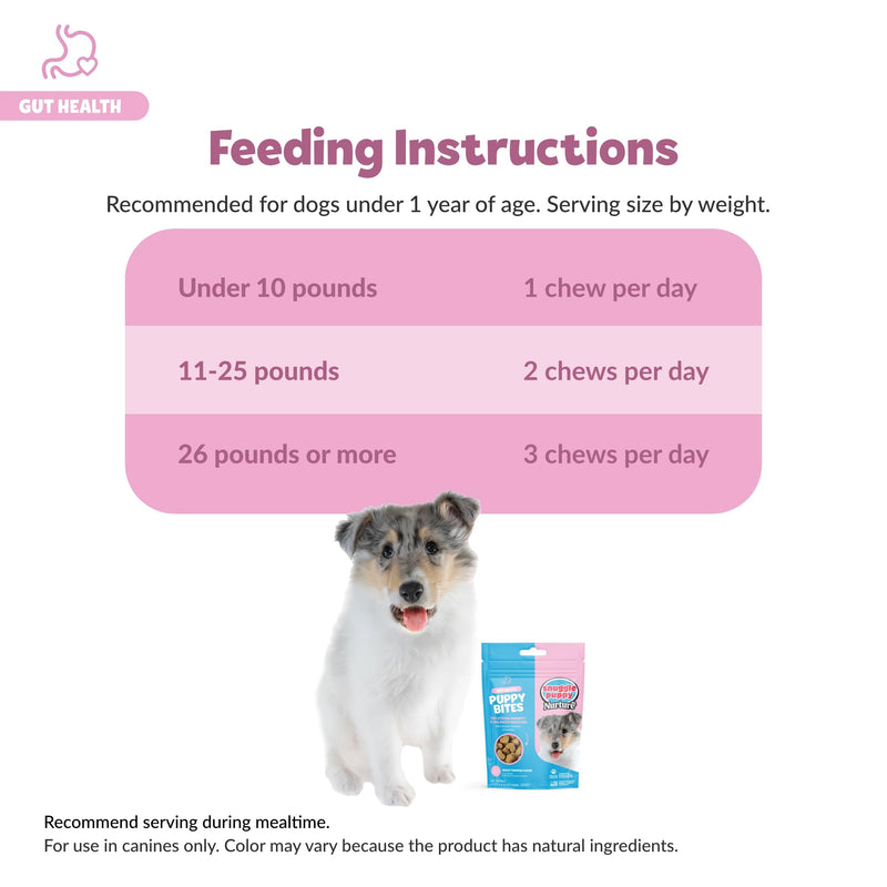 Snuggle Puppy Puppy Bites Gut Health Supplement - Dog Probiotics & Prebiotics for Gut Health - Pet Supplement and Supplies for Dog Health - Dog Digestive Health Support - 60 Soft Chews - PawsPlanet Australia