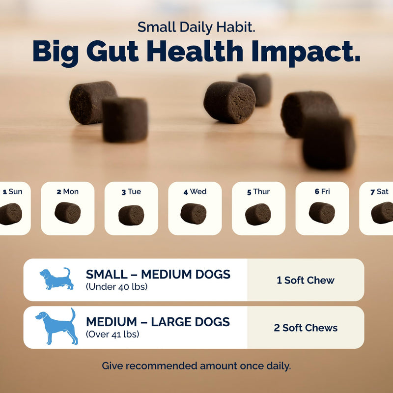 Vetnique Glandex Dog Probiotic Chews, Daily Probiotics for Dogs 5 Strains, Prebiotics & Digestive Enzymes for Gut & Immune Health, Vet Formulated for Occasional Diarrhea (30ct Chews, Probiotic Chews) 30ct Chews