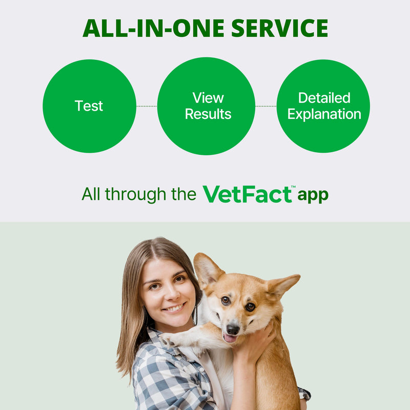 [5Kits] Free Mobile App 10 Parameter Urine Test Strips for Cat & Dog, Cat & Dog UTI Test Strips at Home ; Glucose, Specific Gravity, pH, Ketone, Protein & More 5 Count (Pack of 1)
