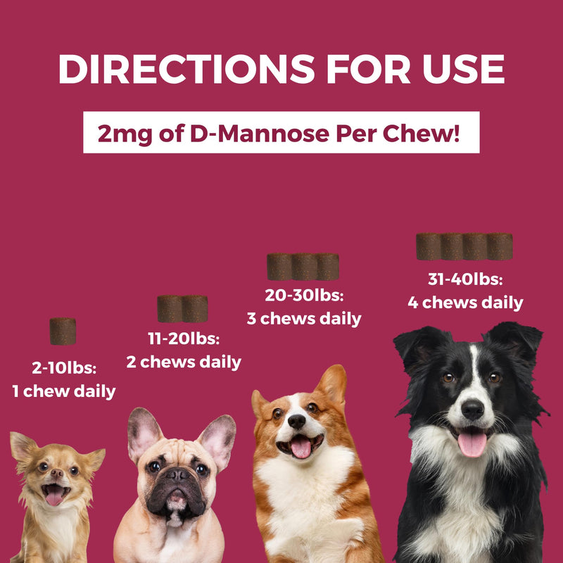 Nootie Progility Mini Urinary Support Supplement for Dogs, Bladder Support and Urinary Tract Support for Dogs with Cranberry and D-Mannose, 60 Soft Chews per Container Mini Urinary Support Chews (1-30lbs)