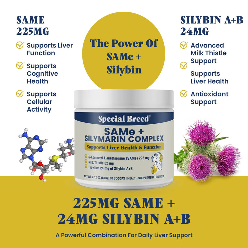 Liver Support for Dogs – Same + Milk Thistle Supplement Powder – Supports Liver Function, Detox & Cellular Health – Silymarin with 24 mg Silybin A+B – 60 Servings