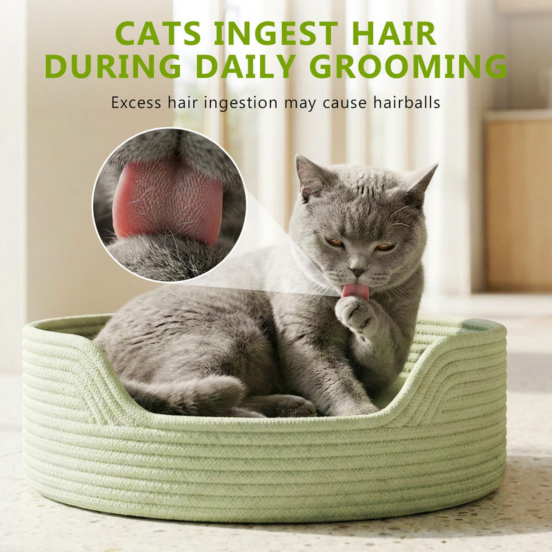 Cat Grass Treats for Indoor Cats - Freeze Dried Cat Grass Crunchy Snacks for Hairball Control and Digestive Support - Natural Kitty Grass Supplement - 4.23 oz 4.23 Ounce (Pack of 1)