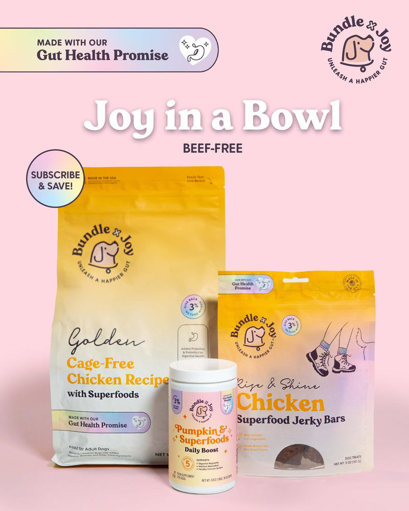 Bundle x Joy Superfoods with Pumpkin for Dogs Daily Boost, Vegan Digestive Support, Gut Health for Dogs, Supports Stomach Upset & Loose Stools, Dog Supplements Made in USA - 35 Scoops