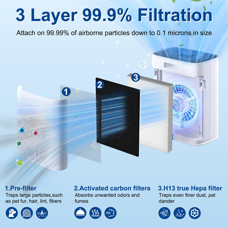 HAP602 Air Purifier Replacement Filter for ECOSELF HAP-602 / HAP-602WF 2 Pack