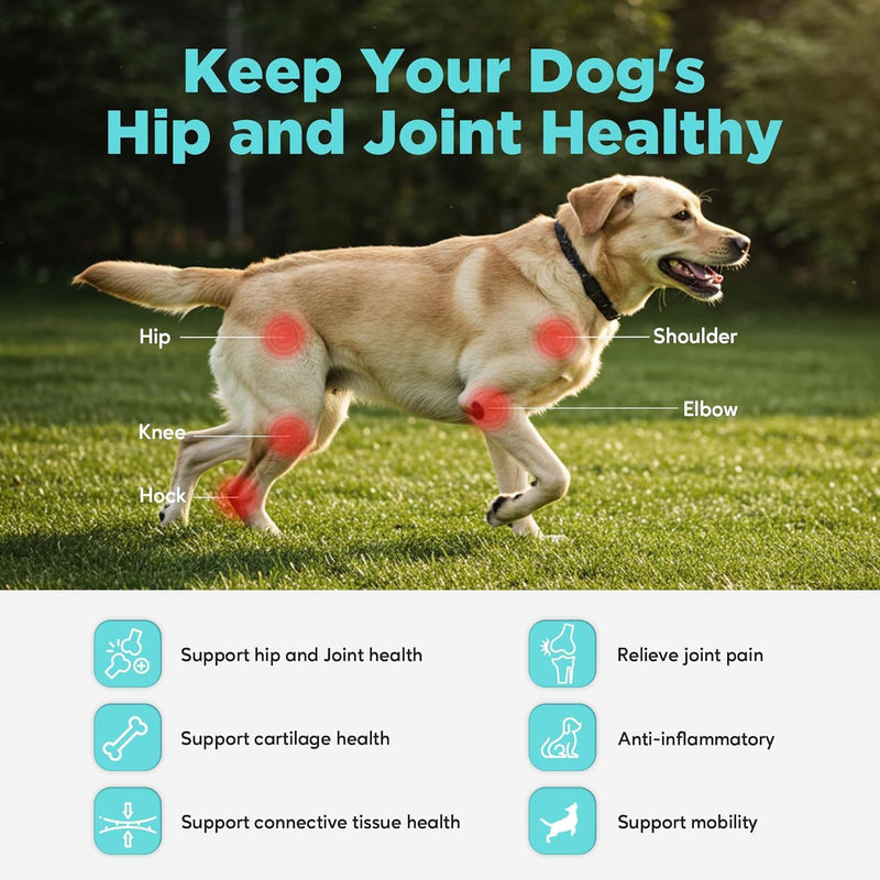 Joint Supplement for Dogs with Chondroitin and Glucosamine for Dogs Joint Health, MSM, Green Lipped Mussel, Turmeric, Omega 3 for Dog Joint Pain Relief, 60ct 60 Count