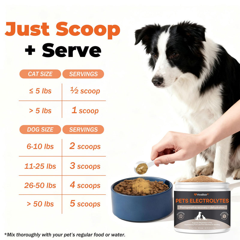 Electrolytes for Dogs – Vet-Formulated Hydration Supplement– Supports Post-Surgery & Illness Recovery– Helps Replenish Fluids & Electrolytes Lost from Diarrhea, Vomiting & Poor Appetite