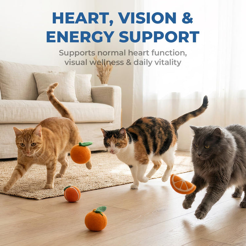 Taurine Supplement for Cats Liquid Drops, Cat Taurine with Coenzyme Q10 & L-Carnitine, Supports Heart Function, Vision & Daily Energy, Helps Maintain Consistent Taurine Intake (60 ml (Pack of 1)) 60 ml (Pack of 1)