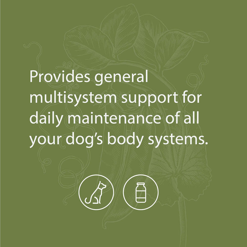 Standard Process Canine Whole Body Support - Multisystem Support Supplement for Canines - Nutritional Powder Supplement for Daily Health Maintenance - Multisystem Supplement Formula - 25 g 25 Grams (Pack of 1) - PawsPlanet Australia