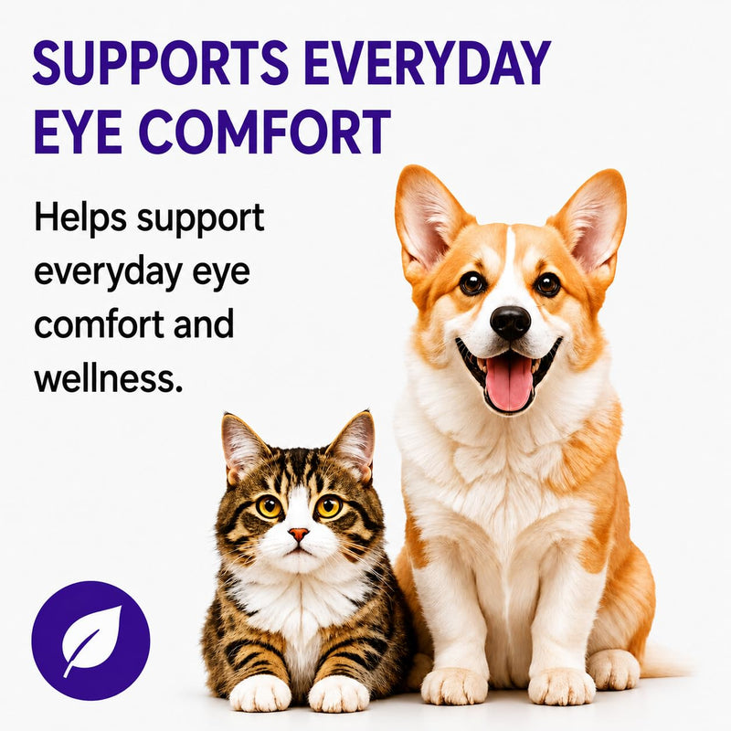 BrightEyes Liquid Eye Support Supplement for Dogs & Cats, Tear Stain & Eye Comfort Support, Herbal & Vitamin Formula, Easy to Mix Daily Liquid Drops, 2 fl oz