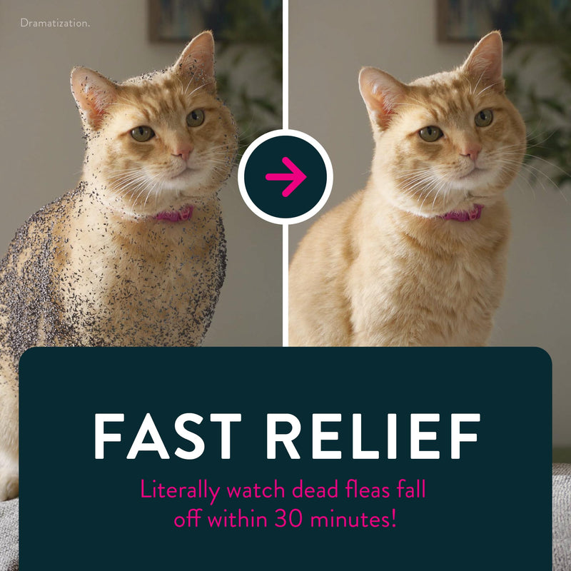 Capstar (nitenpyram) Cat Flea Treatment, Fast-Acting Oral Flea Treatment for Cats 2-25 lbs, Vet-Recommended Medication Tablets Start Killing in 30 Minutes, 6 Doses 6 Count