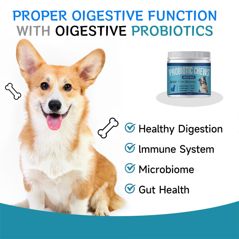 Probiotics & Enzymes Chews with Papaya | Pumpkin | Krill oi for Dogs & Cats Gut Health | No Poop Odor | Constipation | Diarrhea | Relieve Anal Gland Relief | Digestive | Immune - Vet Approved - PawsPlanet Australia