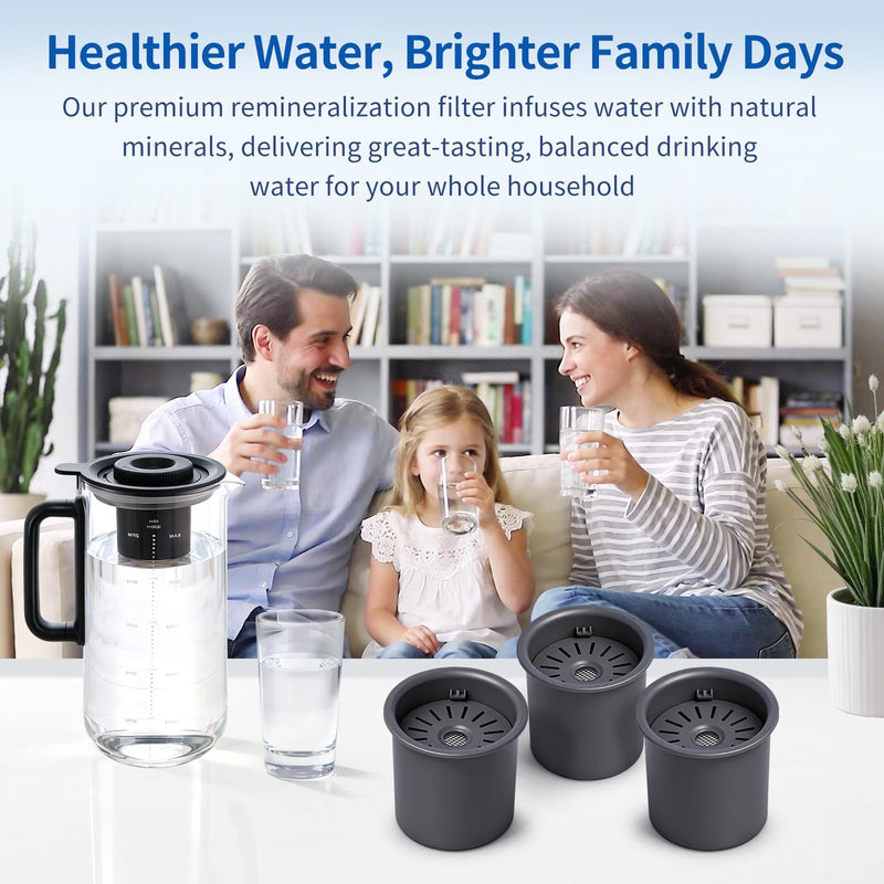 Remineralization Filter Compatible with Bluevua RO100ROPOT-Lite, 3-Pack