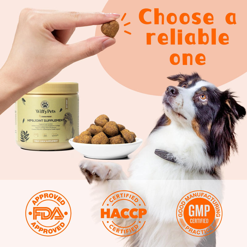Hip and Joint Supplement Dogs with Glucasamine for Dogs, Hip Pain Relief for Small, Medium and Large Breed, Hip and Joint Chews for Dog MSM, Chondroitin 90 Count, Chicken Flavor - PawsPlanet Australia