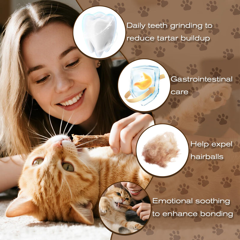 CARGEN Silvervine Cat Chew Sticks - 12 PCS Natural Kitten Chew Toys, Dental Cleaning Sticks, Indoor Cat Daily Treats & Entertainment Supplies
