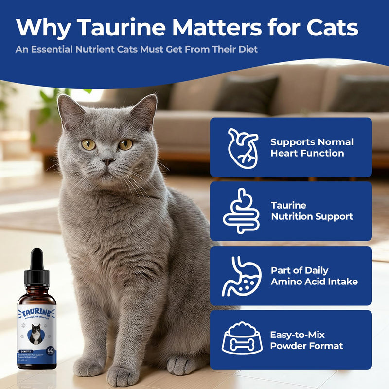 Taurine Supplement for Cats Liquid Drops, Essential Taurine Support for Heart Health, Vision & Immune Function, Daily Feline Nutrition Supplementt, 60 mL × 2 Bottles