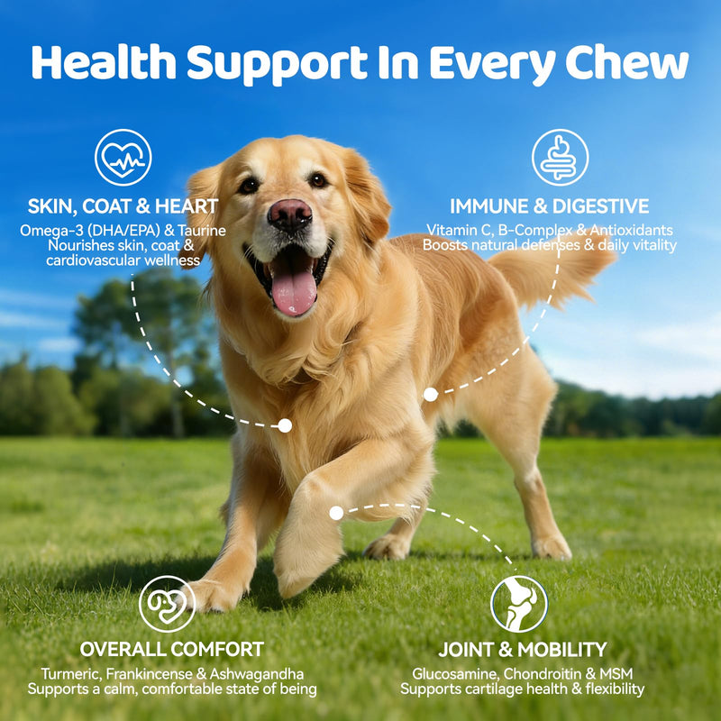 Glucosamine for Dogs Hip and Joint Supplement - 25-in-1 Hip and Joint Chews for Dog with MSM, Green Lipped, Turmeric, Yeast, Omegas, Vitamins| Mobility Support for All Ages & Sizes Dogs,200 ct 200 Count