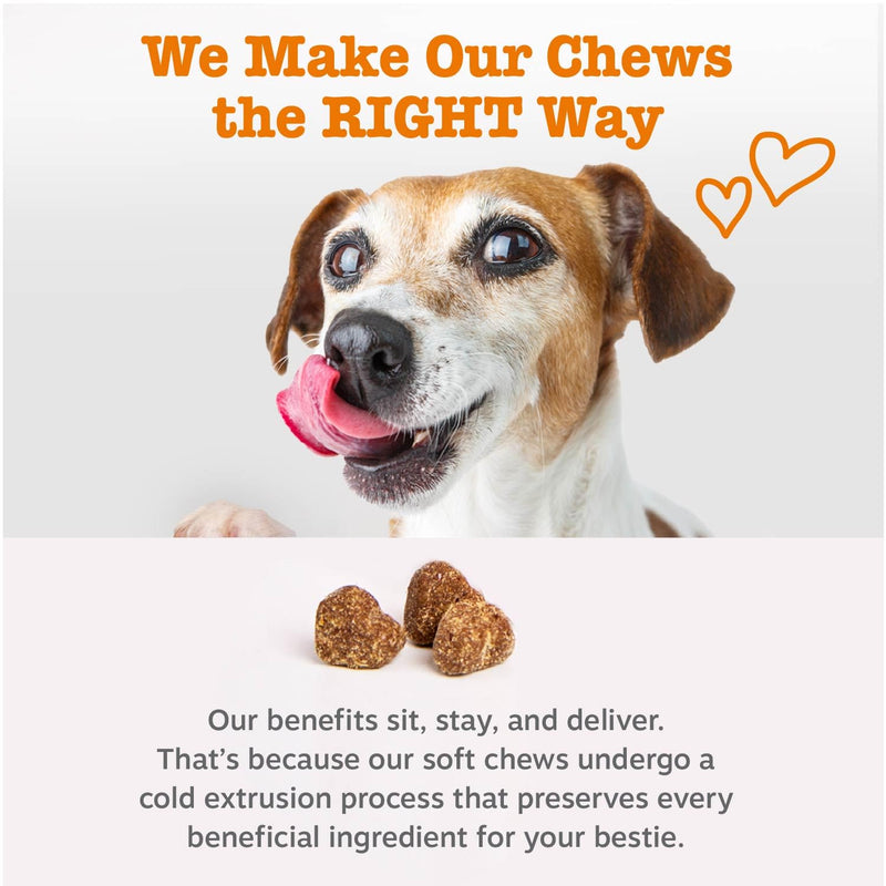Zesty Paws Puppy Probiotics for Dogs - for Digestive Health, Gut Flora & Immune System Support - Dog Probiotics for Puppies with Bacillus subtilis & Pumpkin - 90 Count Pumpkin - Puppy