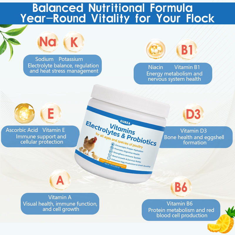 Chicken Vitamin, Electrolyte & Probiotic Supplement - Support Hydration Digestion Immunity Egg Production – Poultry Supplement for Chickens, Ducks, and All Ages of Birds – All-Season Use,10oz Powder