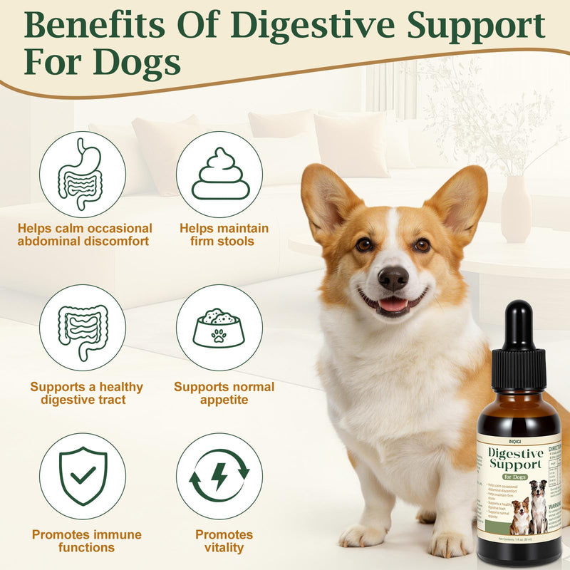 Digestive Support for Dogs and Puppies – Helps Maintain Stool Consistency, Gut Health & Appetite During Occasional Upset Stomach or Diet Changes, Sensitive Stomach Formula, 1 fl oz