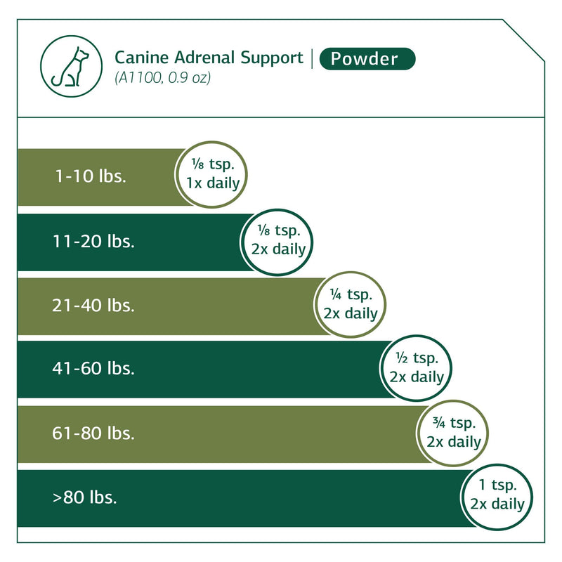 Standard Process Canine Adrenal Support - Canine Support Supplement for Adrenal Health - Nutritional Supplement for Liver & Kidney Support - Powder Dog Supplement Formula to Aid Adrenal Glands - 25 g 25 Grams (Pack of 1) - PawsPlanet Australia