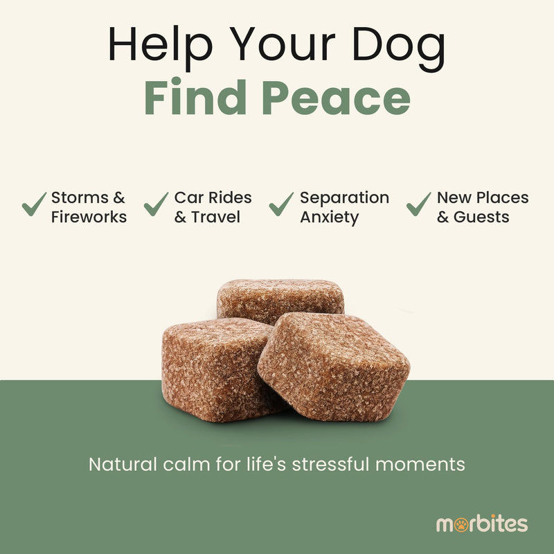 Calming Soft Chews for Dogs with Melatonin & L-Theanine – Daily Emotional Wellness Support – 120 Count