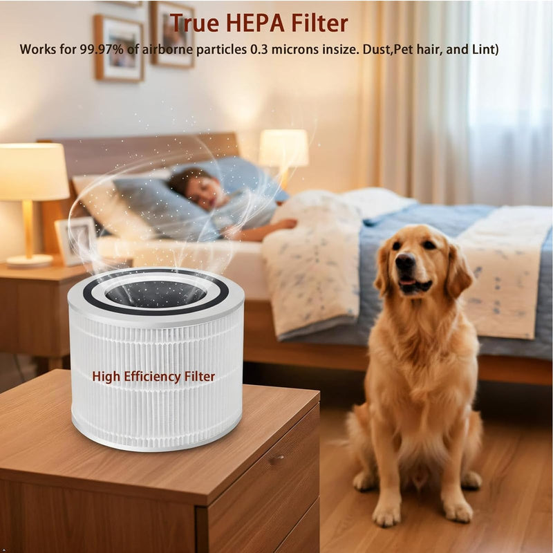 Replacement Filter for OLIXIS/DUMOS JHQ-D22-WT/BKJ-22G Air Purifier