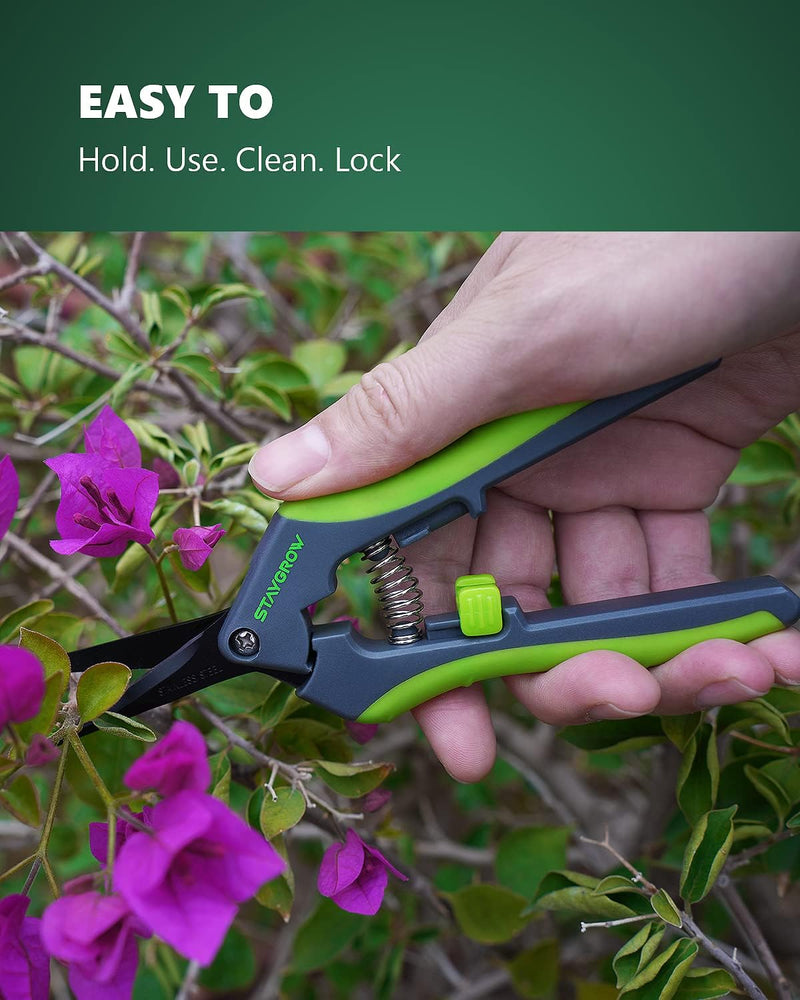 2pcs 6.5" Pruning Shears for Gardening, Ultra Sharp Garden Scissors for Precise Cuts, Stainless Steel Bonsai Clippers with Spring Loaded, 6.5 Inch Garden Shears (1pc Straight & 1pc Curved)