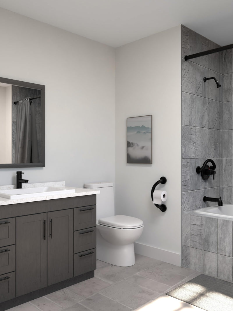 HEALTHCRAFT Plus Toilet Paper Holder & Grab Bar 14.3" - Matte Black, 500 Lbs