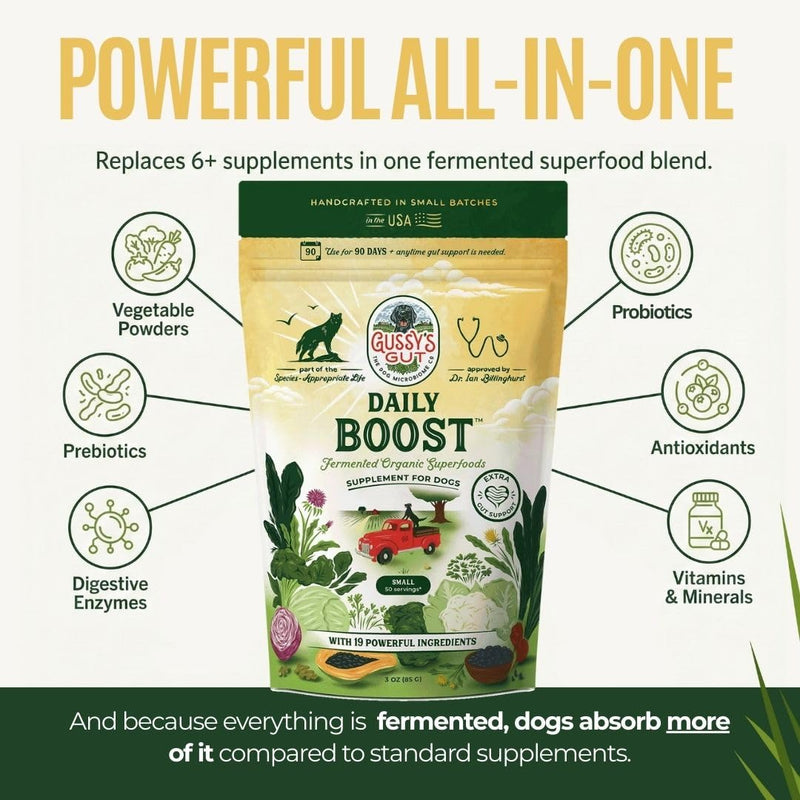 Gussy's Gut Fermented Superfood Reset & Reward Bundle (3oz Trial Boost)