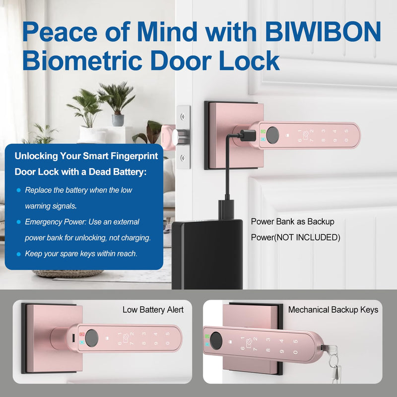 Fingerprint Door Lock, 5 in 1 Finger Print Door Knob with Smart APP/Fingerprint/IC Cards/Password/Backup Keys, Smart Door Knob with Keypad for Bedroom, Office, Apartment, Rose Gold