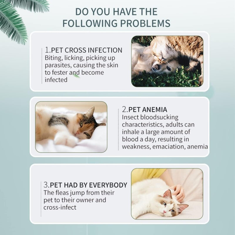 PROZADALAN Upgraded Cat Flea Collar, Cat Control Collar with Natural Essential Oils for 8 Months Protection, Flea & Tick Effectively Treatment, 35cm Adjustable & Waterproof (1pack) 1pack - PawsPlanet Australia
