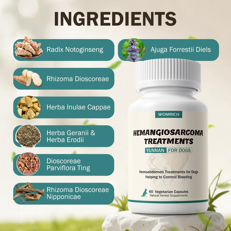 Yunnan Sanqi Capsules for Dogs, Natural Therapy for Hemangiosarcoma, Hemoabdomen, Pericardial Effusion, Cancer Bleeding, Nose Bleed, Bloody Stools, Extends Your Dog’s Lifespan