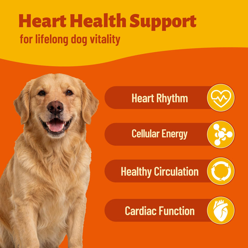 Dog Healthy Heart Supplements - Taurine for Dogs with CoQ10, L-Carnitine, Fish Oil, Vitamins - Supports Cardio & Cardiovascular Health, Antioxidant Support, 7.76 oz