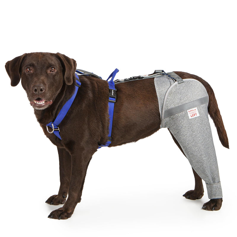 Dog Leg Sleeve for Stop Licking & Post-Surgery Recovery | Protects Injured Rear Legs from Excessive Licking & Scratching | Cone Alternative with Breathable Fabric | Easy to Use (Grey, X-Small) Grey