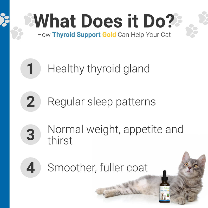 Pet Wellbeing Herbal Thyroid Support for Cats - Hyperthyroidism in Cats + Healthy Thyroid + Normal Appetite & Thirst + Healthy Coat - Liquid Supplement with Lemon Balm, Rehmannia root, Skullcap - 2 oz - PawsPlanet Australia