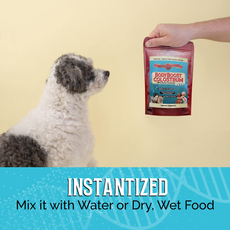 Bovine Colostrum for Dogs and Cats, Organic Immune Support Supplement for Allergy and Itch Relief, Grass Fed Colostrum Powder for Pets, Dog Gut Health, All Ages, 8 oz 8 oz Pet - PawsPlanet Australia