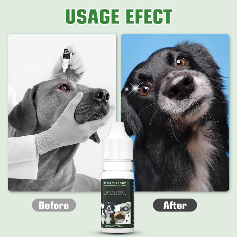 BrennenstuhlCataract Drops for Dogs - Pet Dog Eye Drops for Relieving Eye Itching and Clean Tear Stains - Removing Eye Stains - Improving Clarity - All Natural Pet Eye Health Care (2 X 10 ml) Green