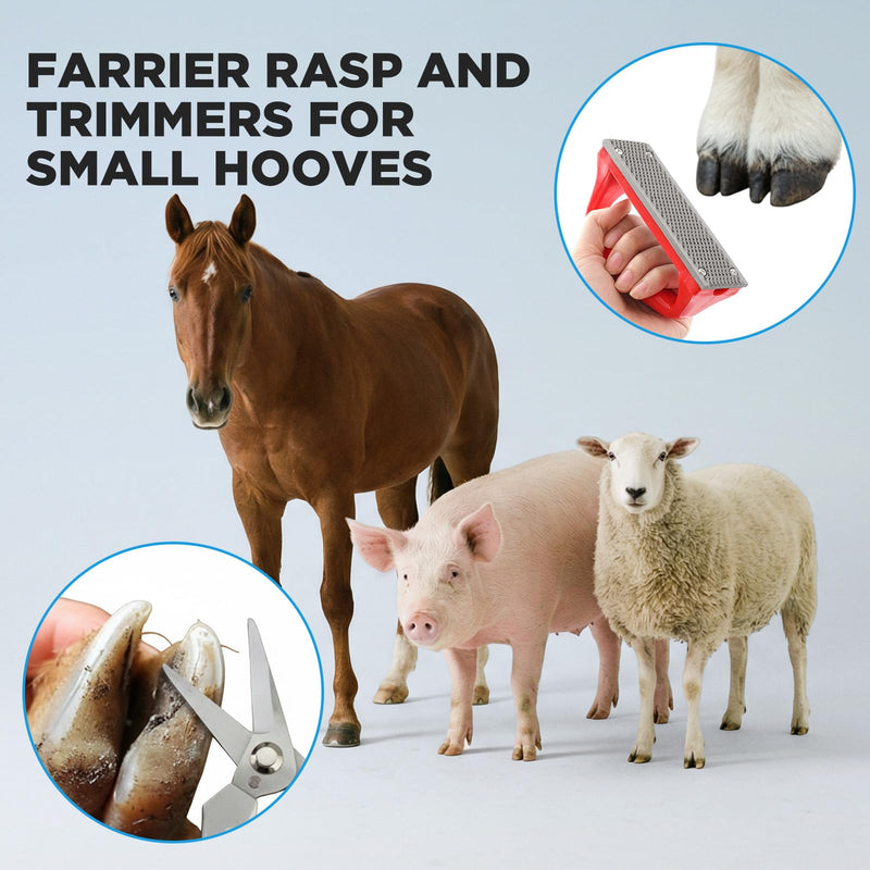 Goat Hoof Trimmers and Rasp Kit, Hoof Trimmers for Goats and Sheep Trimming Cutting and Smoothing, Farrier Supplies for Foals, Sheep, Ponies Donkeys, Garden Cutting Tool