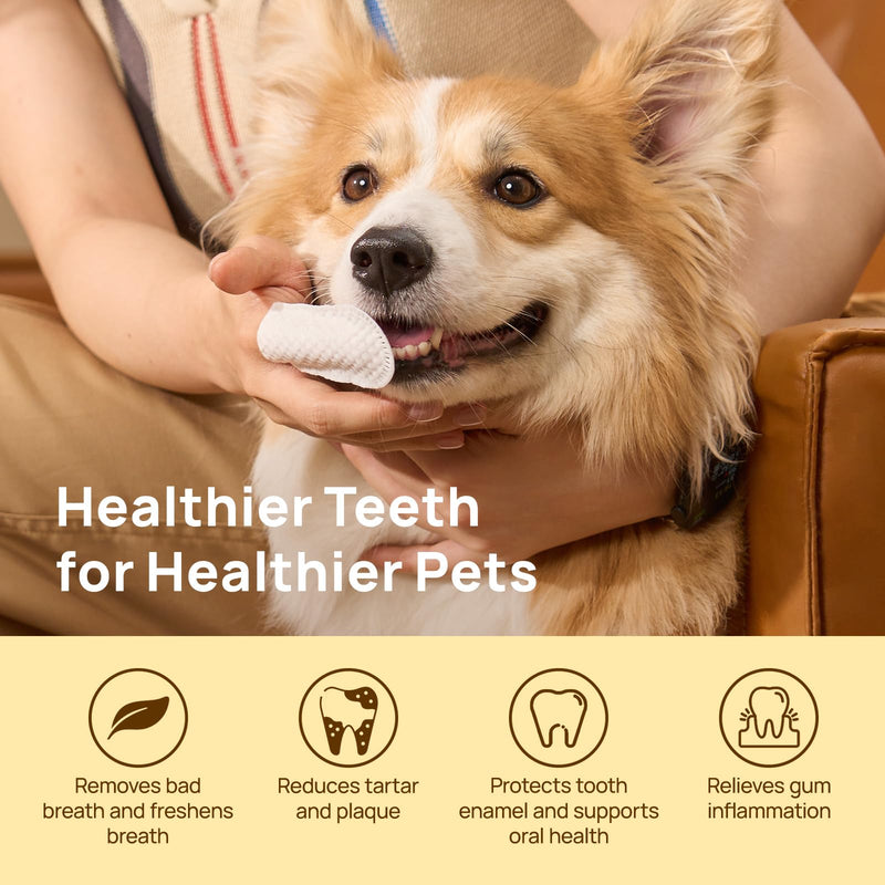 HICC PET Teeth Cleaning Wipes for Dogs & Cats, Remove Bad Breath by Removing Plaque and Tartar Buildup, Disposable Dog Finger Toothbrush Gentle Pet Dental Care Wipes, 50 Counts, (Mint Scent) Mint 1.54" Wide (50 Count) - PawsPlanet Australia