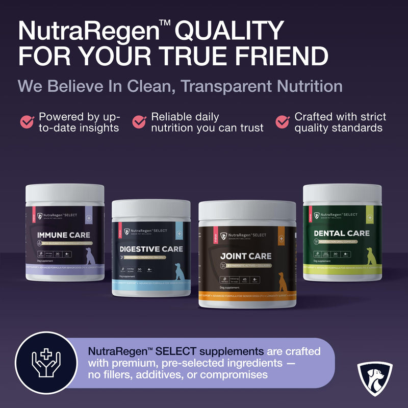 NutraRegen Dog Immune Support Supplement Powder 30 Scoops | Beef Flavored Powder with Turkey Tail Mushroom for Dogs| 30 Scoops Beef Flavor | 1.9 Oz